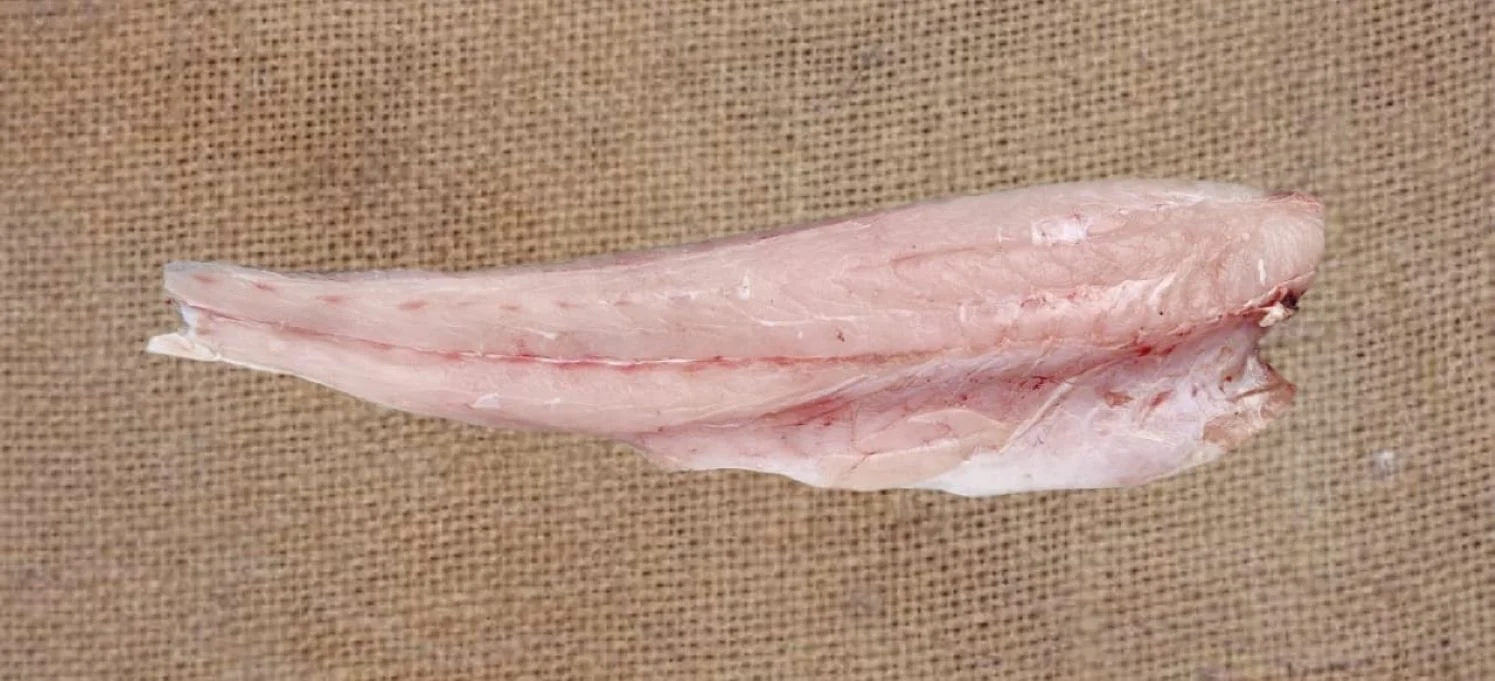 Koti Fillet Boneless