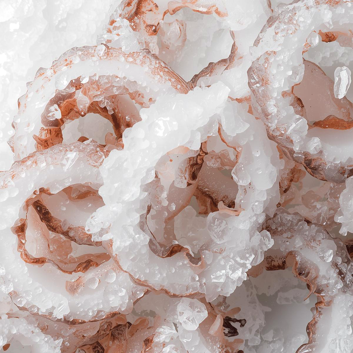 Frozen Squid Rings