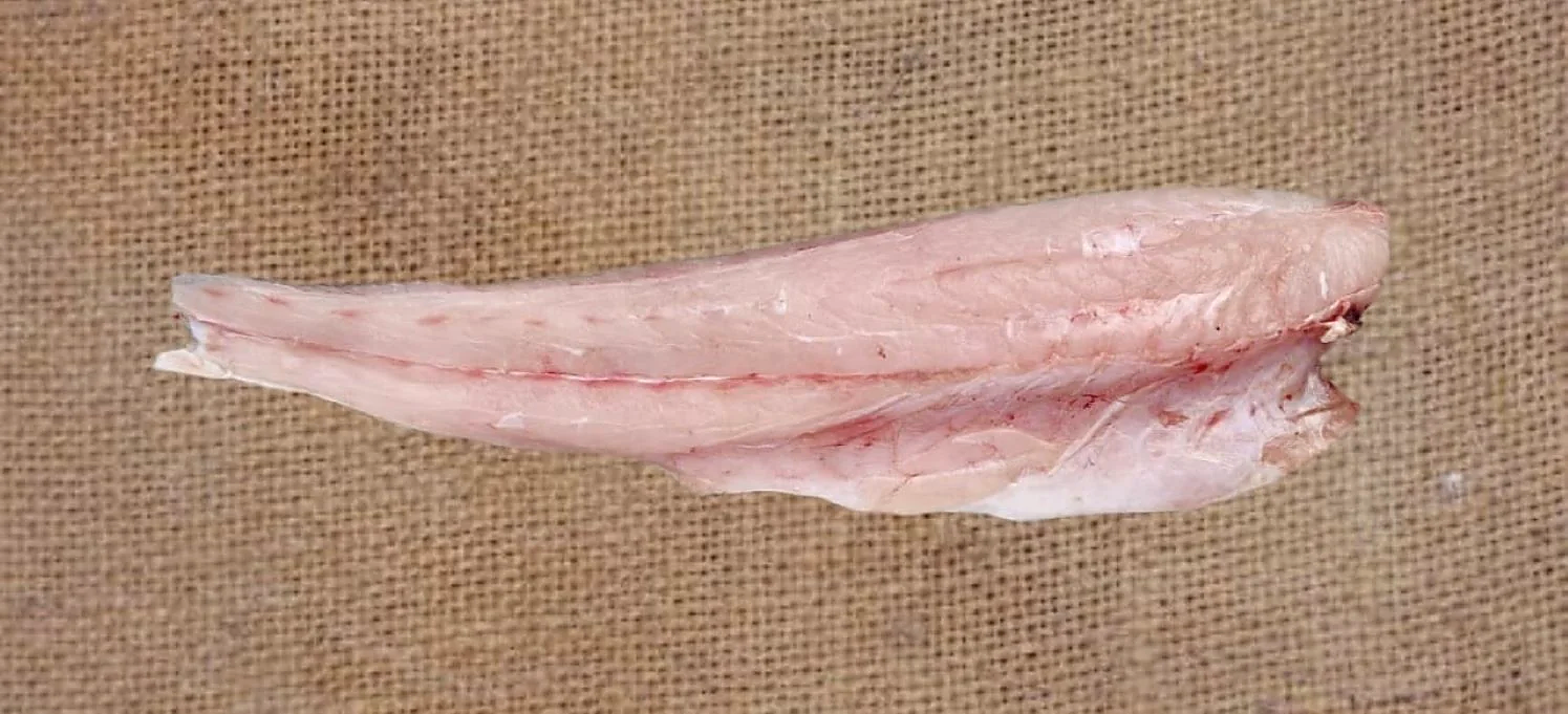 Koti Fillet Boneless