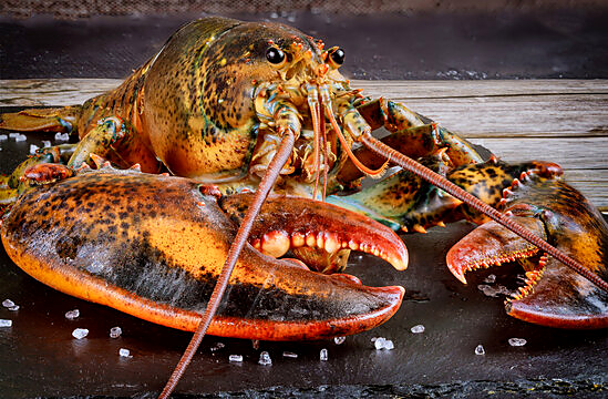 Lobster 3 pcs