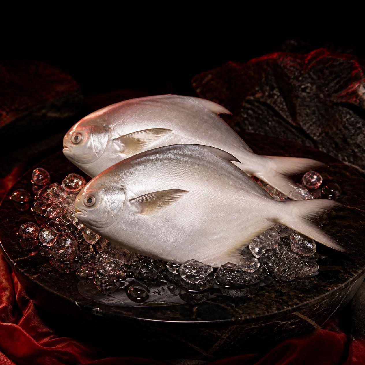 Pomfret White (2 pcs)