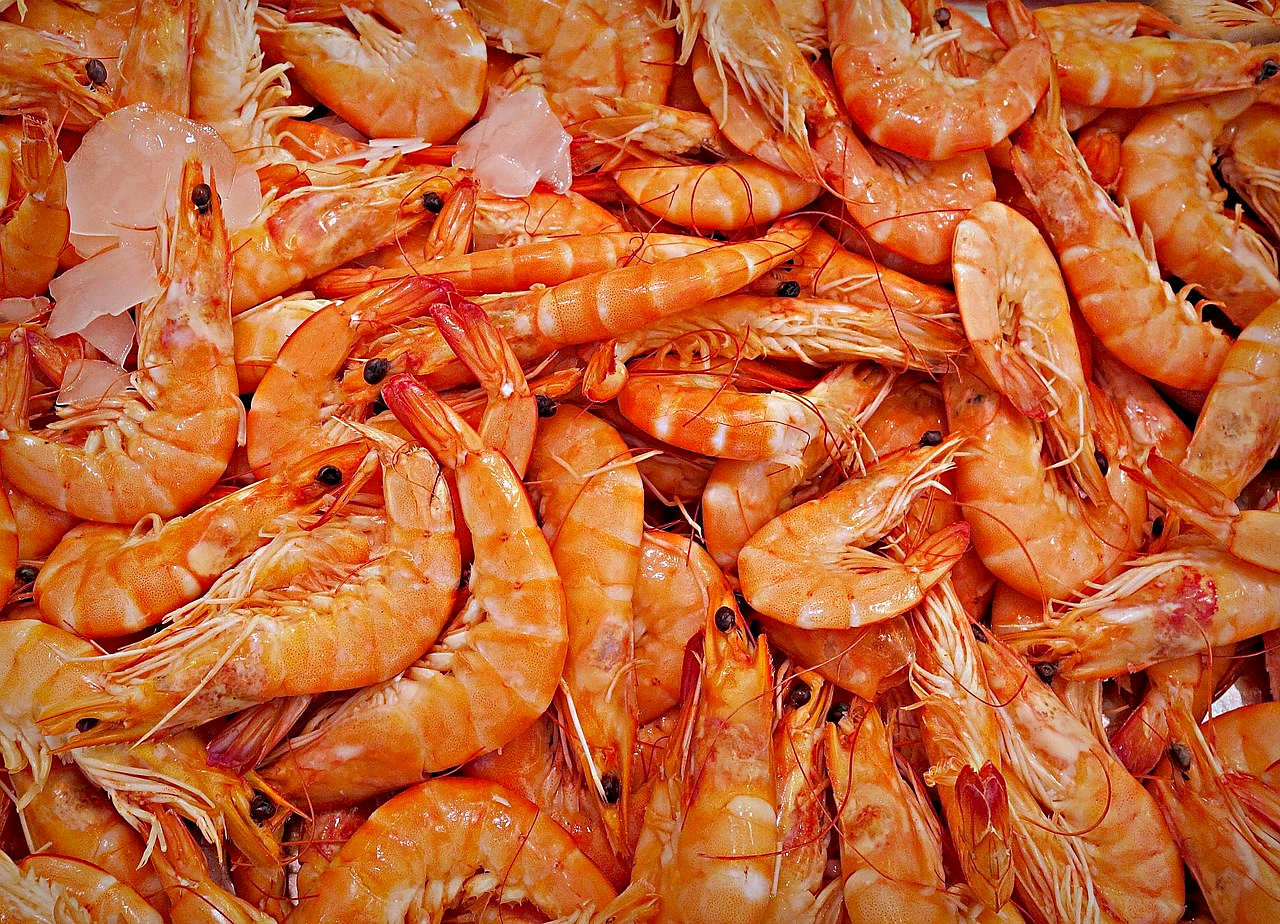 Prawns Medium (10/12 pcs)