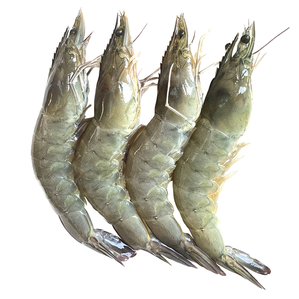 Prawns 15/18 pcs
