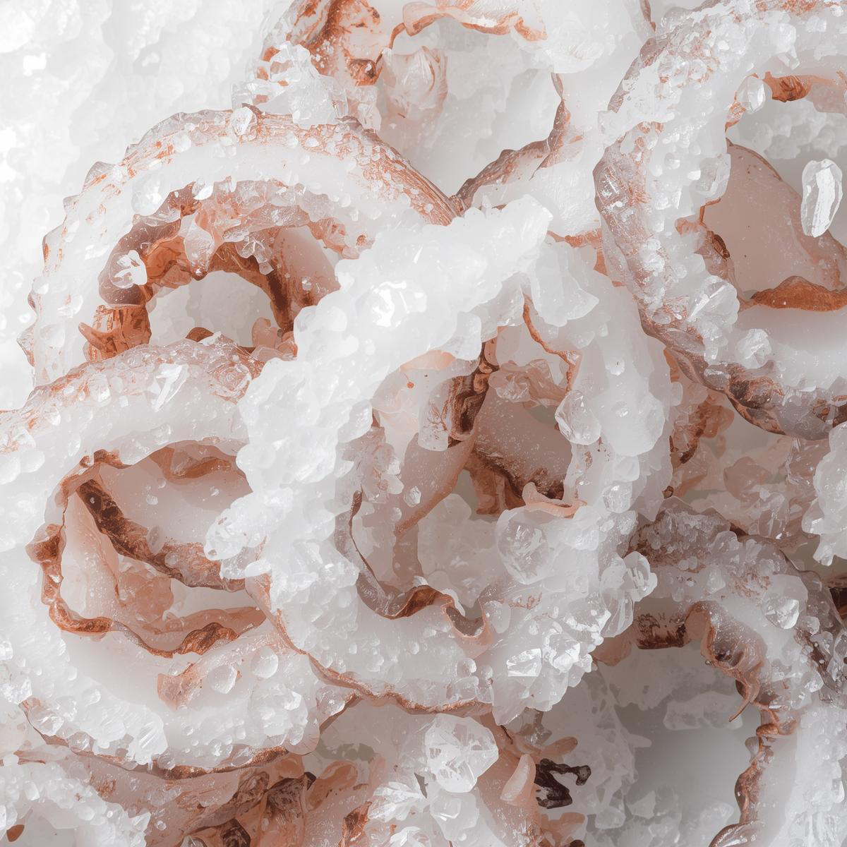 Frozen Squid Rings