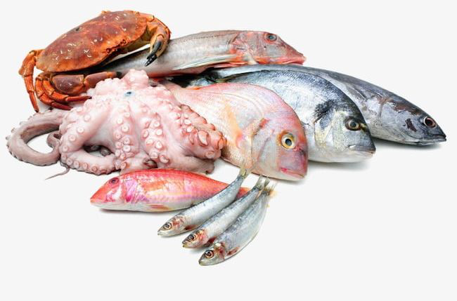 Seafood